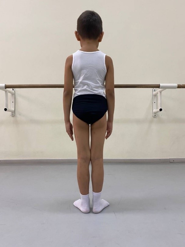 Общий вид сзади